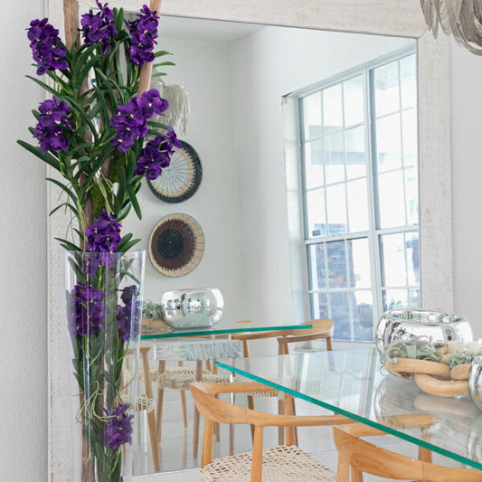 Lila Vanda Orchids and Driftwood in a Conical Glass Cylinder