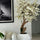 Personalized Cherry Blossom Tree in Glossy White Globe Vase
