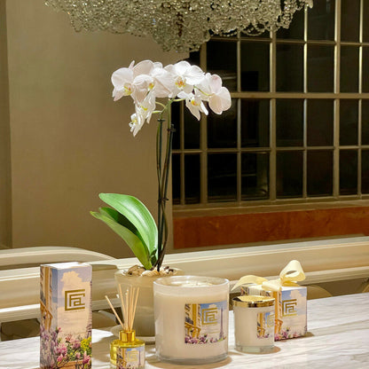 Rendezvous Parisian Reed Diffuser