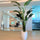 2.74 m Paradise Bird with Ben Pot in Glossy White