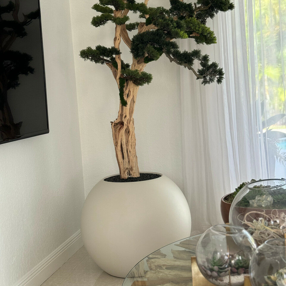 Bonsai Tree in Globe-Shaped Planter – 180 cm, Satin Beige