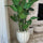 Santa Bárbara Beige Matte Planter with Paradise Bird